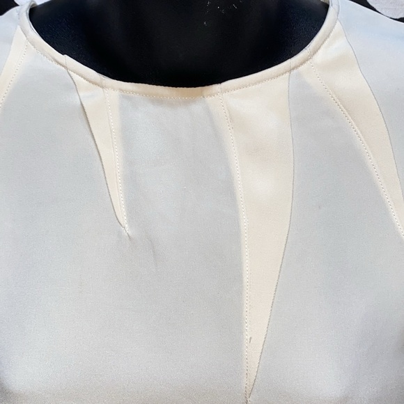 SILK MARISSA WEBB CREAM LONG CHIFFON SLEEVE BLOUSE SZ 8 - Picture 2 of 13